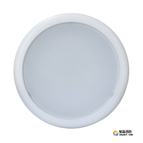 海灣HW-ZFJC-E9W-N657集中電源集中控制型消防應急照明燈具